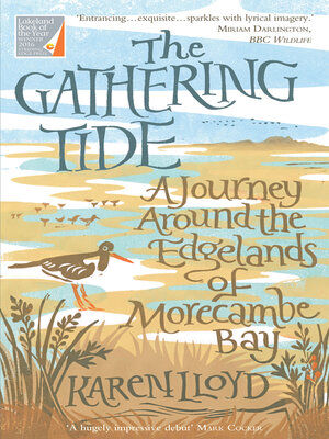 cover image of The Gathering Tide